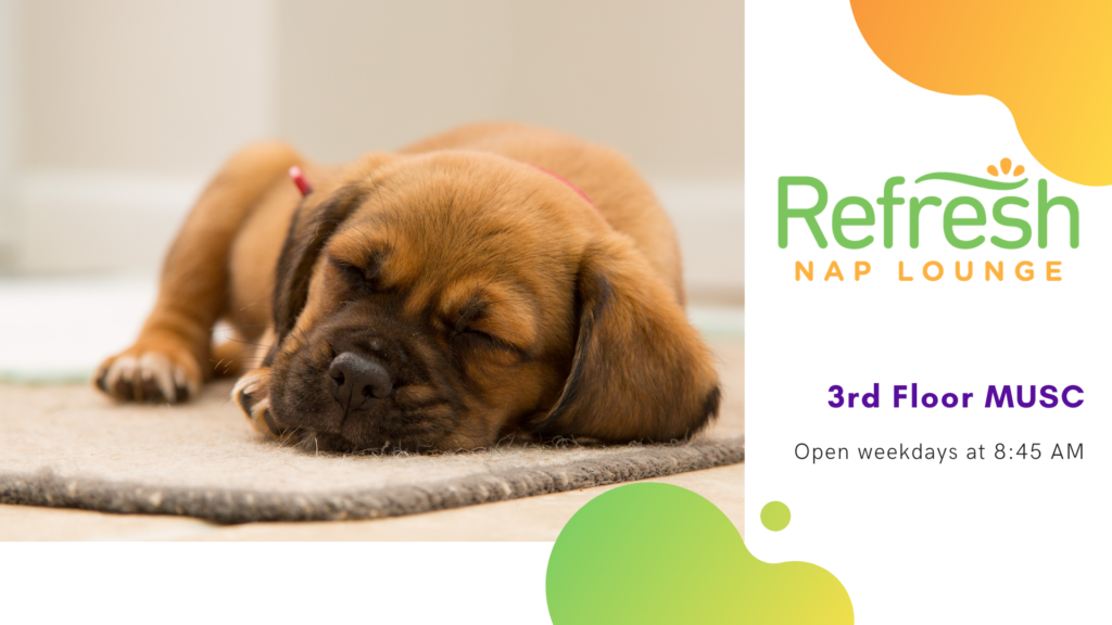 Page banner image showing a sleeping puppy and the logo for Refresh Nap Lounge. The text reads: "3rd floor MUSC, open weekday at 8:45 am).
